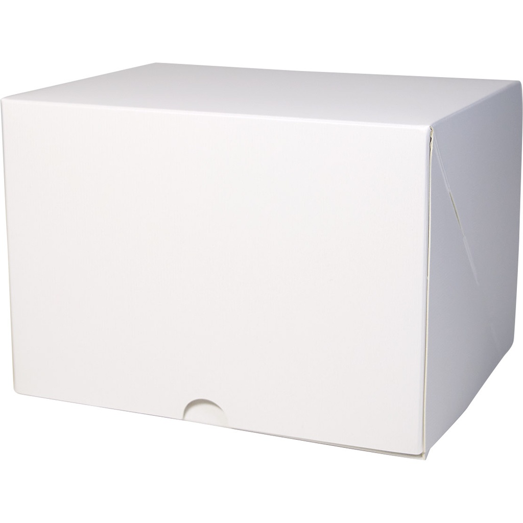 BOITE BUCHE blanche 17