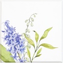 May Bloom basic 09 assortment of 3