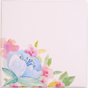 Blush Veil frenchy 09 assortment of 2