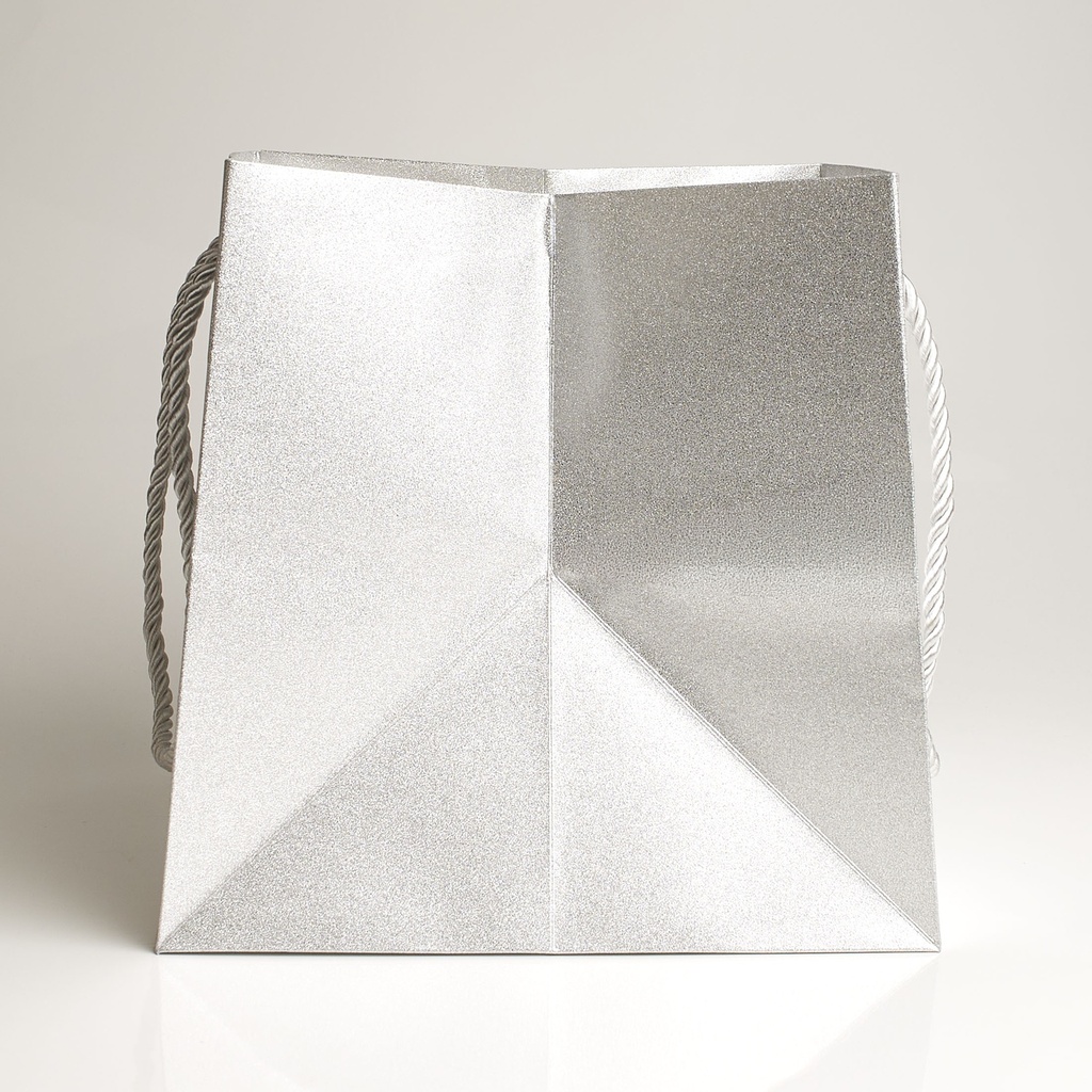 Luxury bag square 20