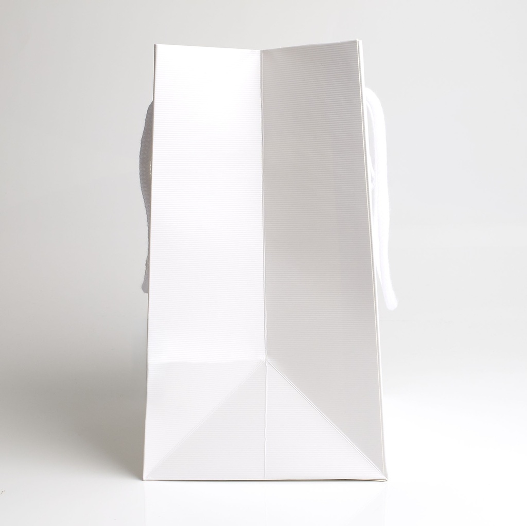 Luxury bag rectangular 18