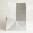 Luxury bag rectangular 25