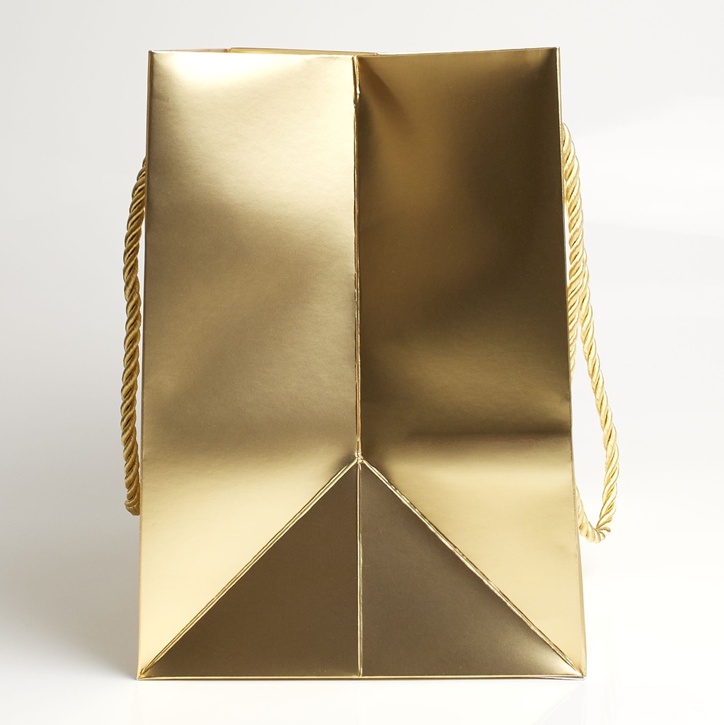Luxury bag rectangular 25