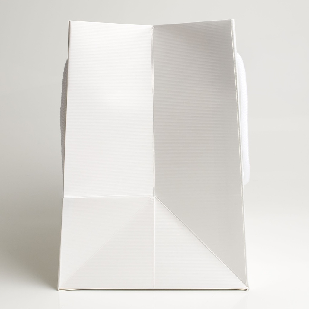 Luxury bag rectangular 25