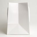 Luxury bag rectangular 25