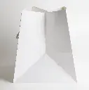 Luxury bag square 25