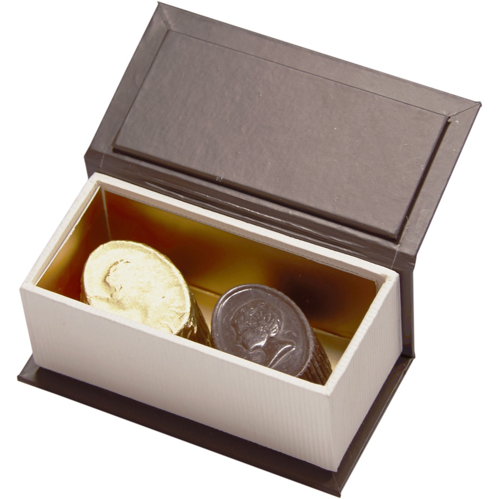 PLUG - 2 chocolates***