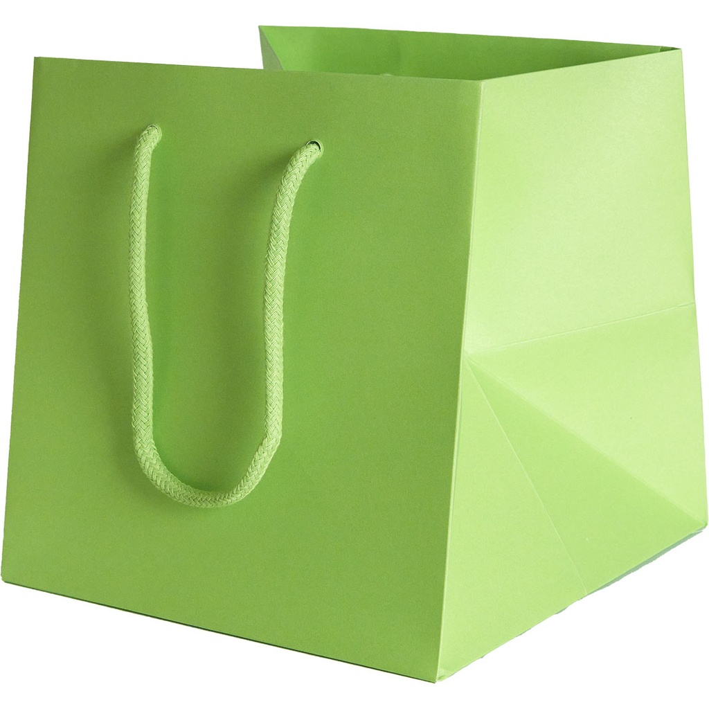 BAG 20 COLOR 51***