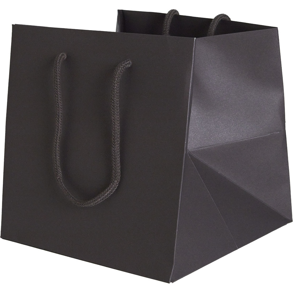 BAG 20 COLOR 79
