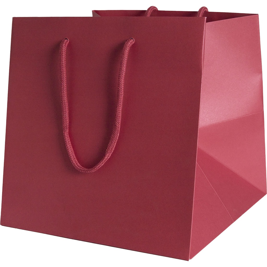 BAG 25 COLOR 20***