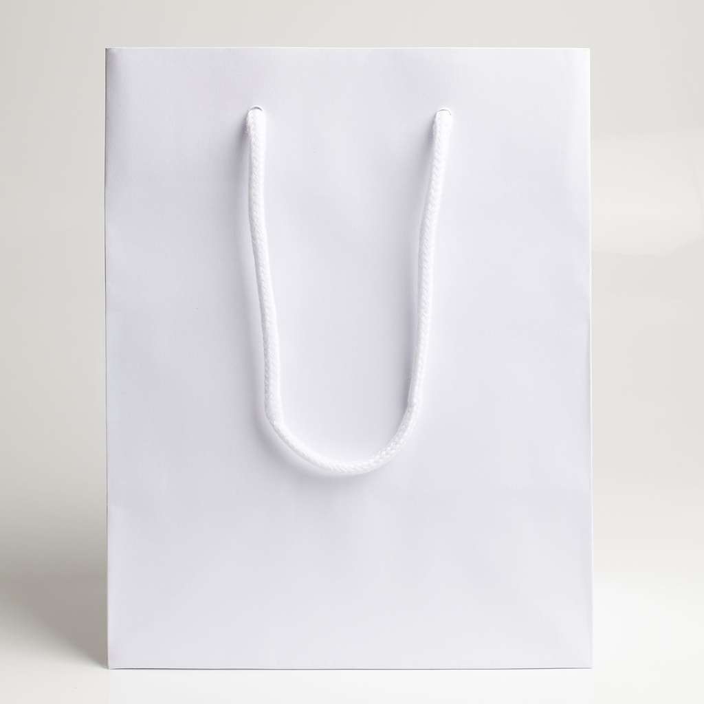 Luxury bag rectangular 18