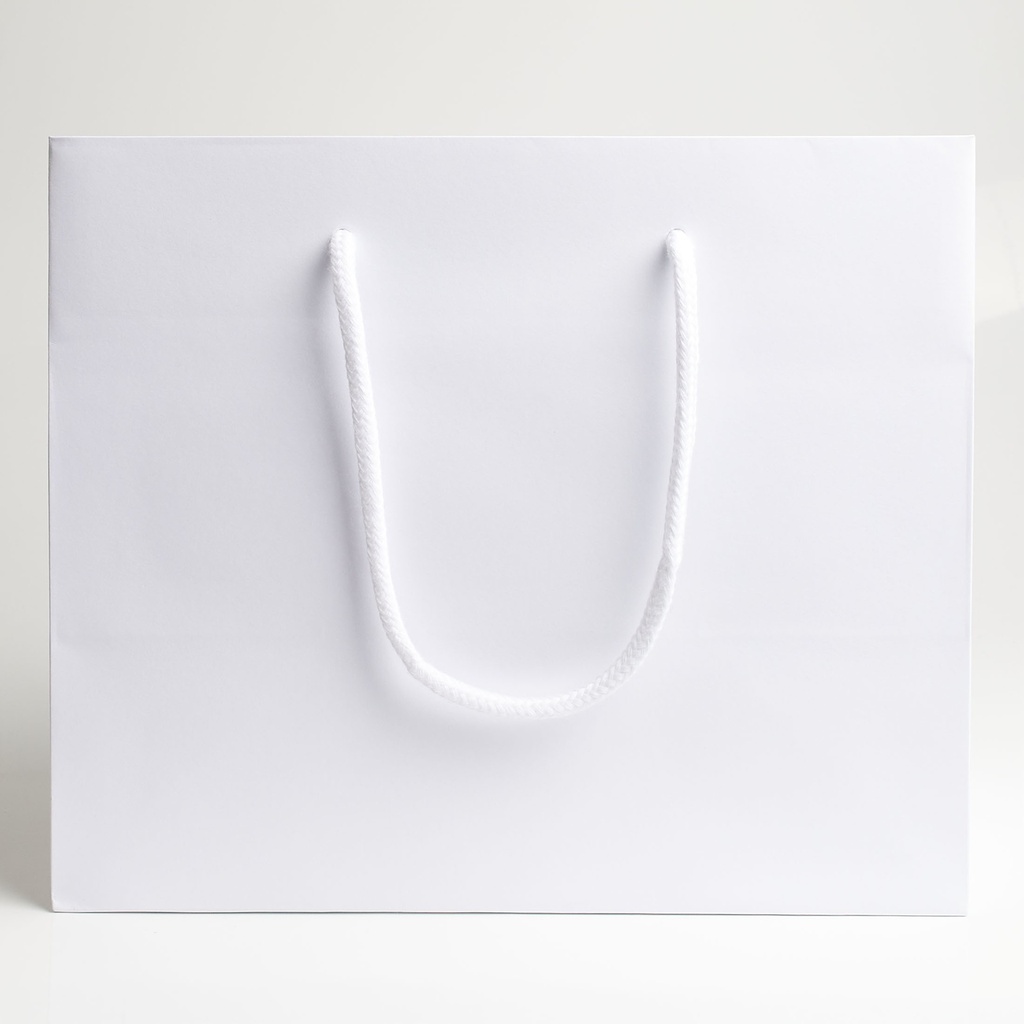 Luxury bag rectangular 25