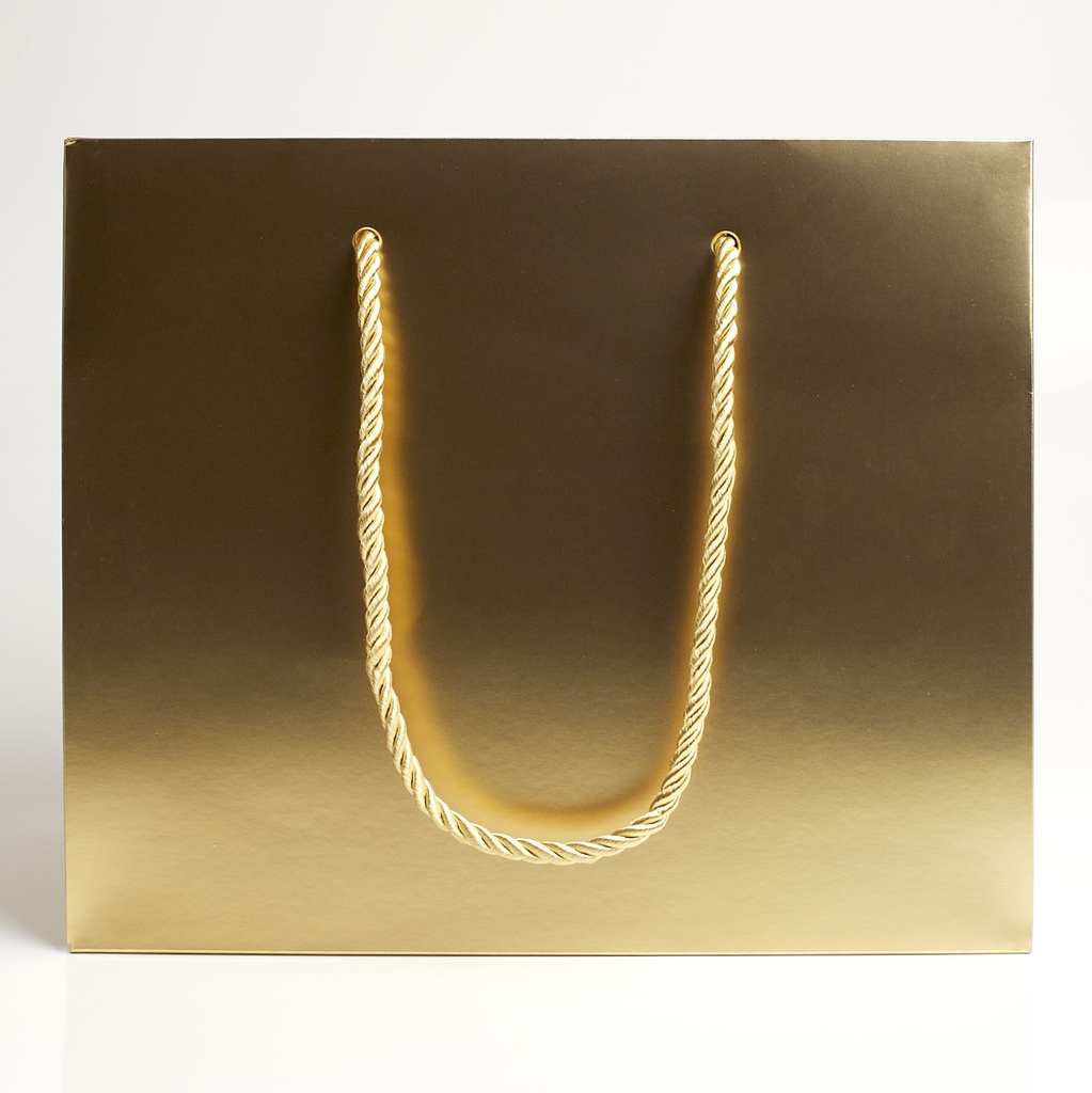 Luxury bag rectangular 25