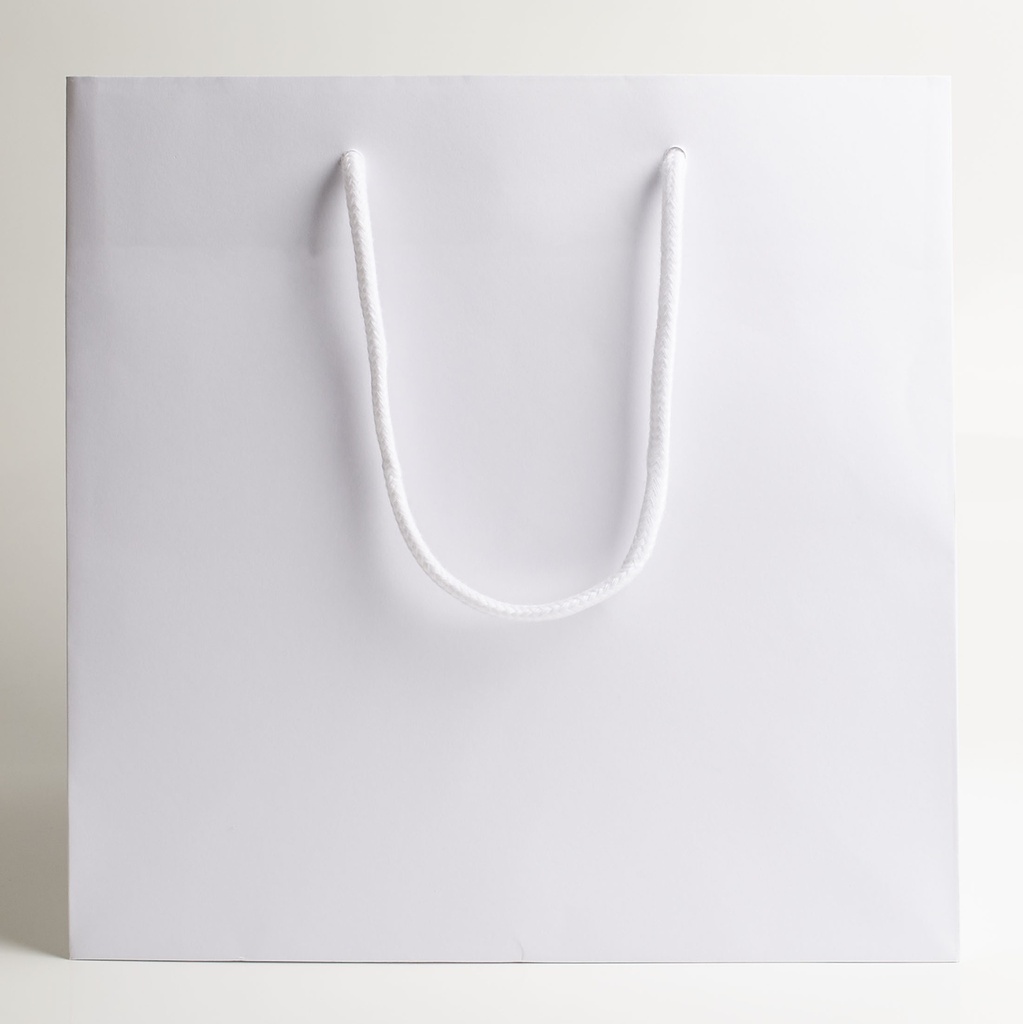 Luxury bag square 25