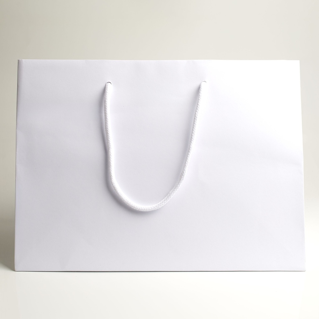 Luxury bag rectangular 30