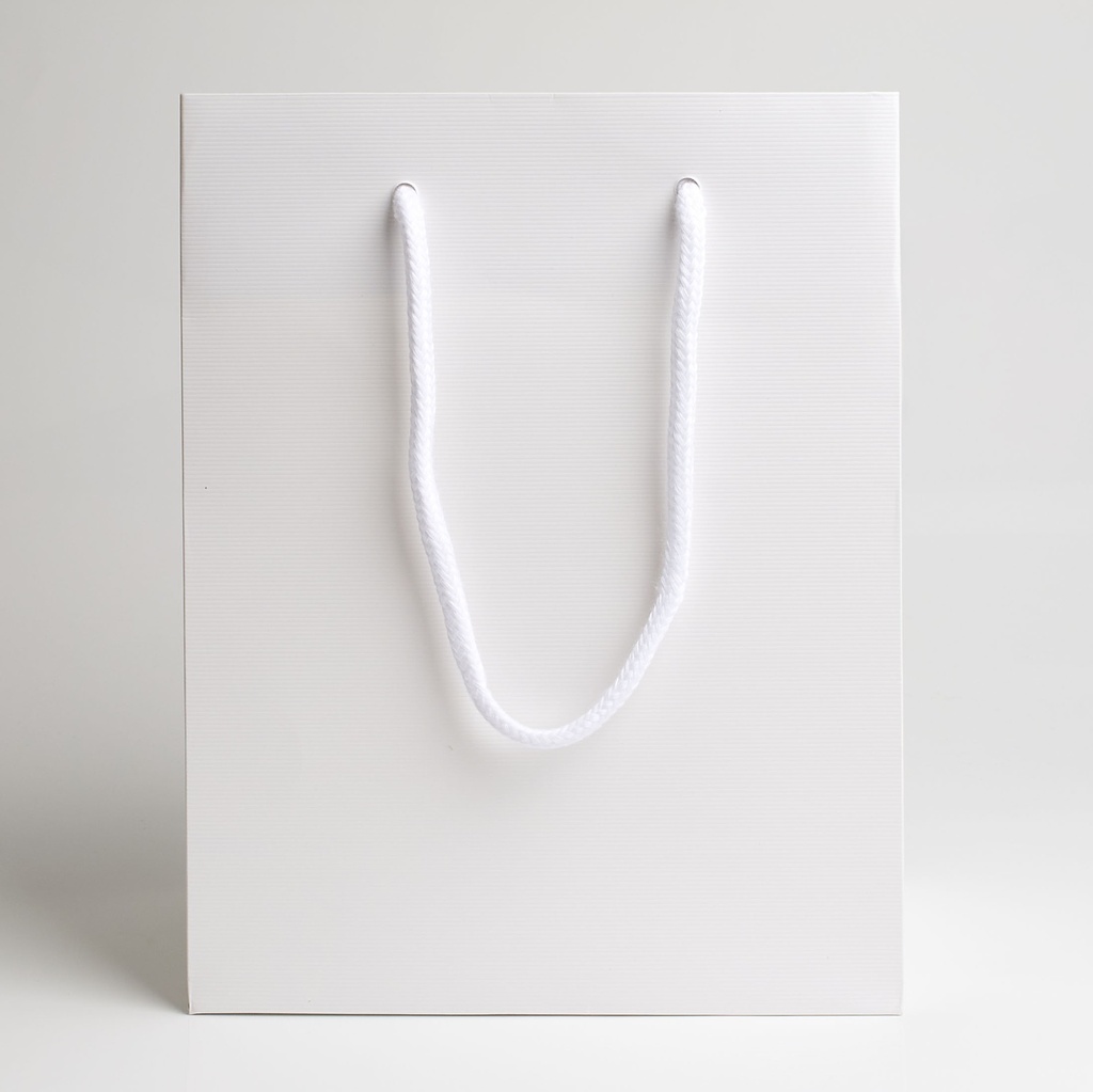 Luxury bag rectangular 18