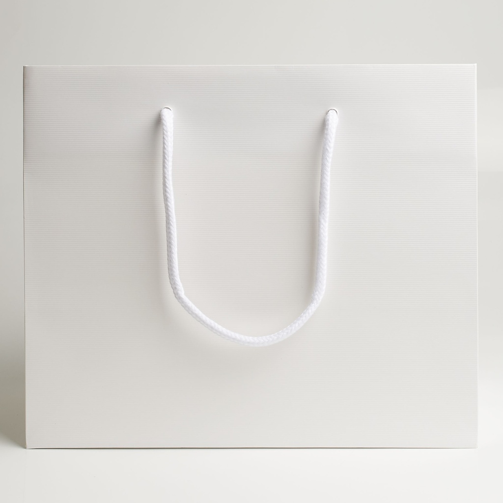 Luxury bag rectangular 25