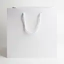 Luxury bag square 25