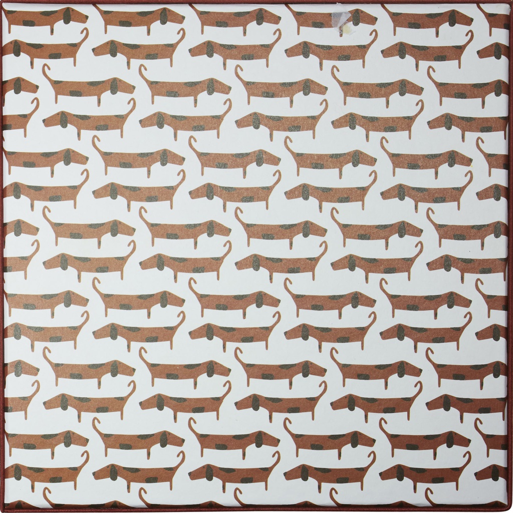DOG Basic box  21