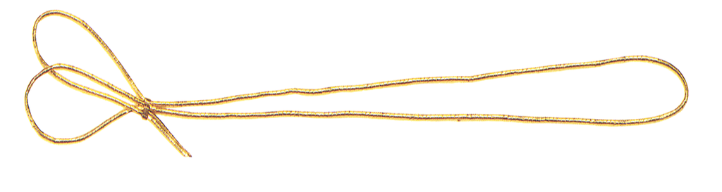 ELASTIC 2 loops 20