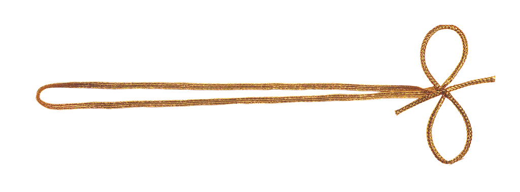 ELASTIC 2 loops 40