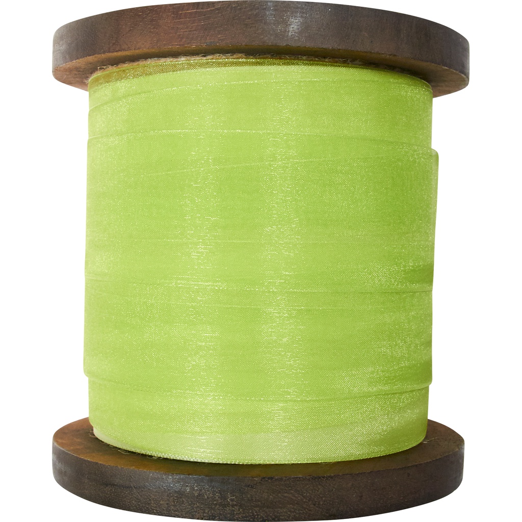 ORGANZA 40mm vert 53 -RBN48884053