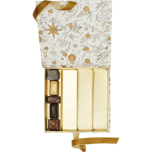 [***5531*27*14*15] Snowgold plug 14