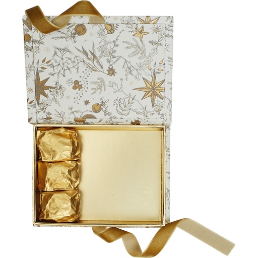 [***5531*27*02*15] Snowgold plug rectangular box 
