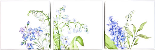 [EA01-BXR030999] May Bloom basic 09 assortment of 3
