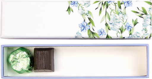 [EA01-BXR030599] May Bloom basic reglet 05