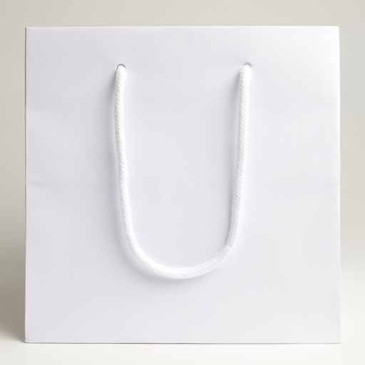 [BGL042001] Luxury bag square 20