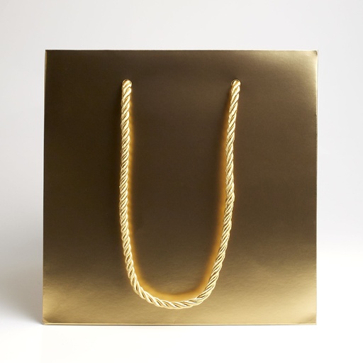 [BGL022015] Luxury bag square 20