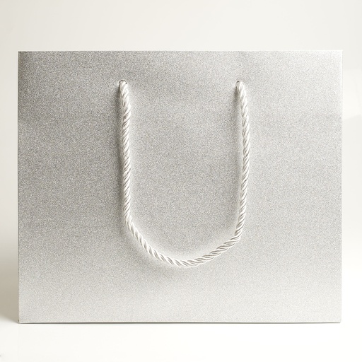 [BGL032505] Luxury bag rectangular 25