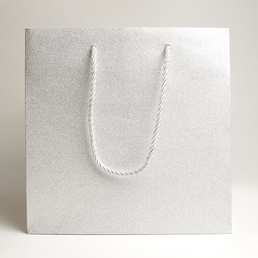 [BGL022505] Luxury bag square 25