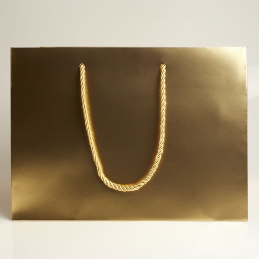 [BGL033015] Luxury bag rectangular 30